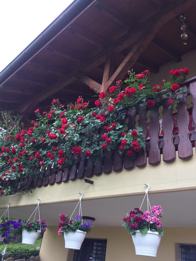 Bed and Breakfast Mona'S Sleep & Go Buren  Esterno foto
